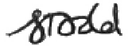 Sara Todd signature